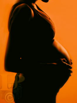 picture of Maternity 