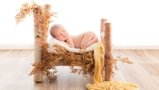 picture of Newborns 
